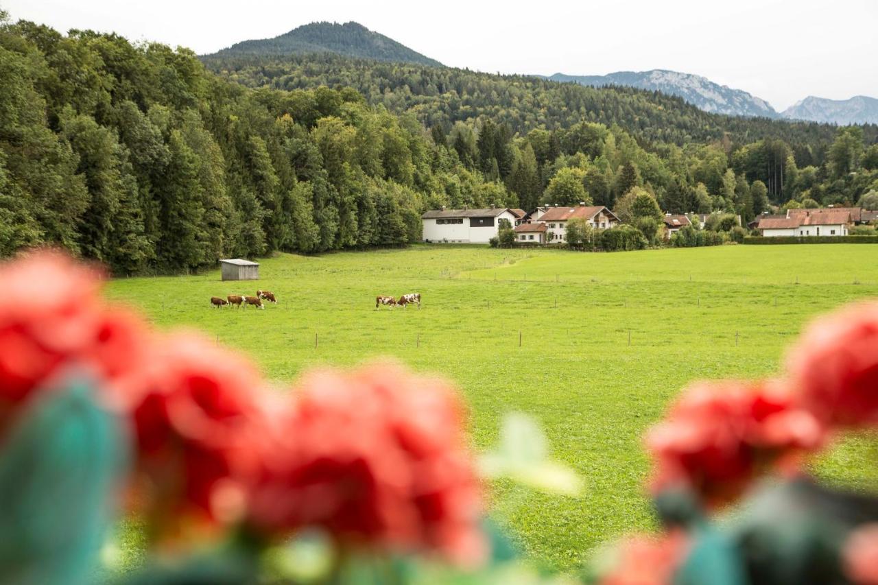 Ferienwohnungen Am Alpenrand Siegsdorf Dış mekan fotoğraf